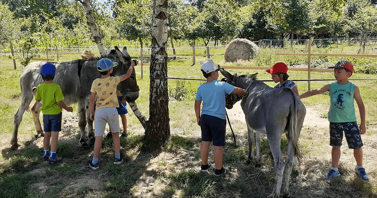 enfants caressant des ânes