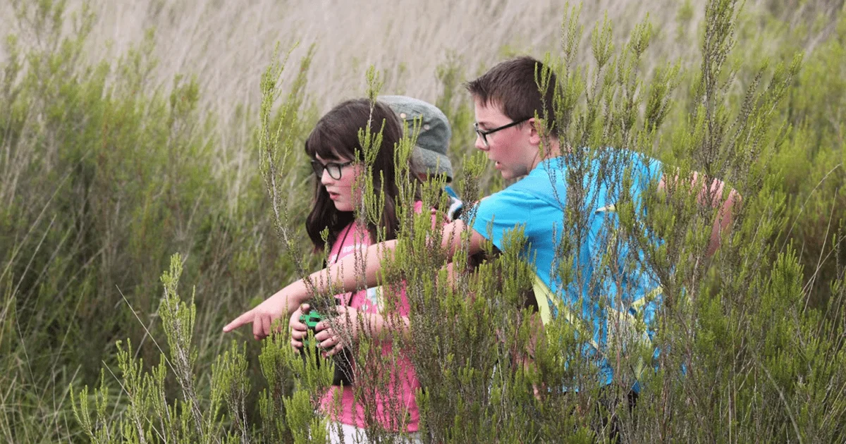 enfants avec jumelles repérant des oiseaux